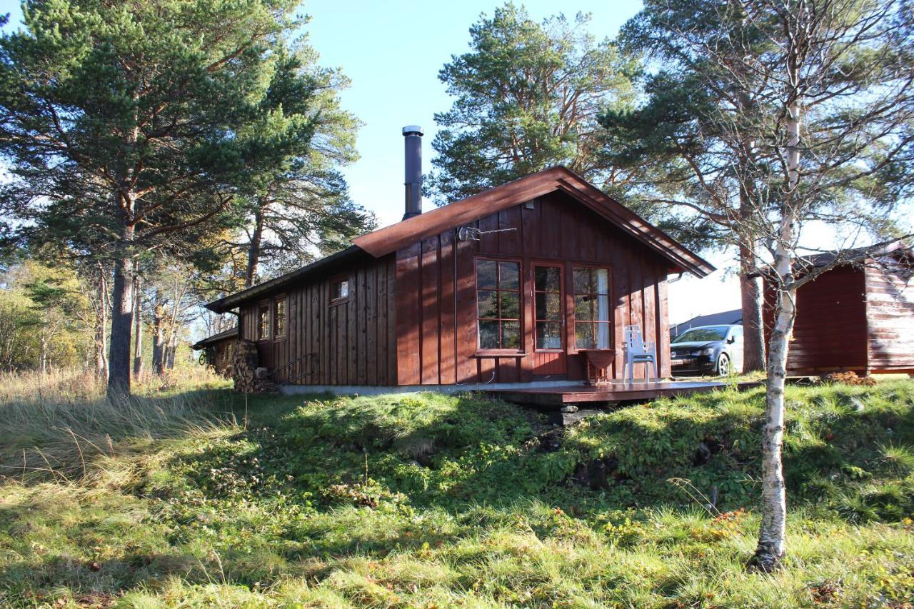 Adnebu By Norgesbooking - Cabin With 3 Bedrooms Geilo Zewnętrze zdjęcie